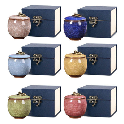 Small Pet Urn for Ashes Memorial Keepsake Urns for Dog Cat Cremation Remains - Sky Blue