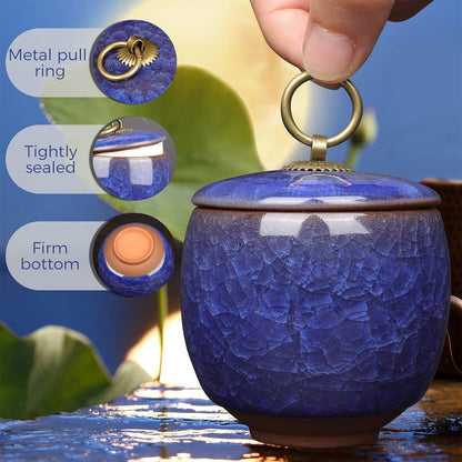 Small Pet Urn for Ashes Memorial Keepsake Urns for Dog Cat Cremation Remains - Sky Blue