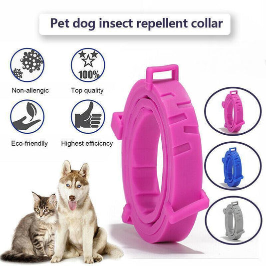 Adjustable Flea and Tick Collar for Dogs and Cats with Natural Repellent - Blue