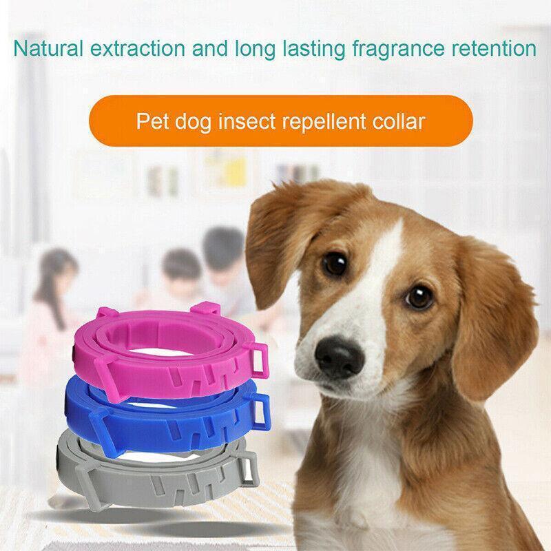 Adjustable Flea and Tick Collar for Dogs and Cats with Natural Repellent - Pink