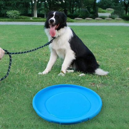 Frisbee Toy for Dogs Outdoor Fetch Training Soft Rubber Pet Flying Disc 18cm - Green