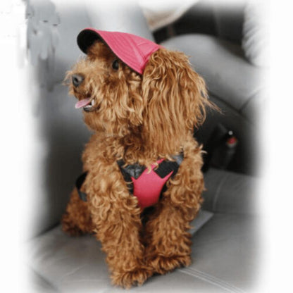 Dog Baseball Cap Outdoor Pet Sun Hat Summer Canvas Visor Puppy XL - Black