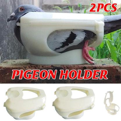 2X Practical Plastic Racing Pigeon Holder Fixed Frame Rack Bird Medicine Feeder