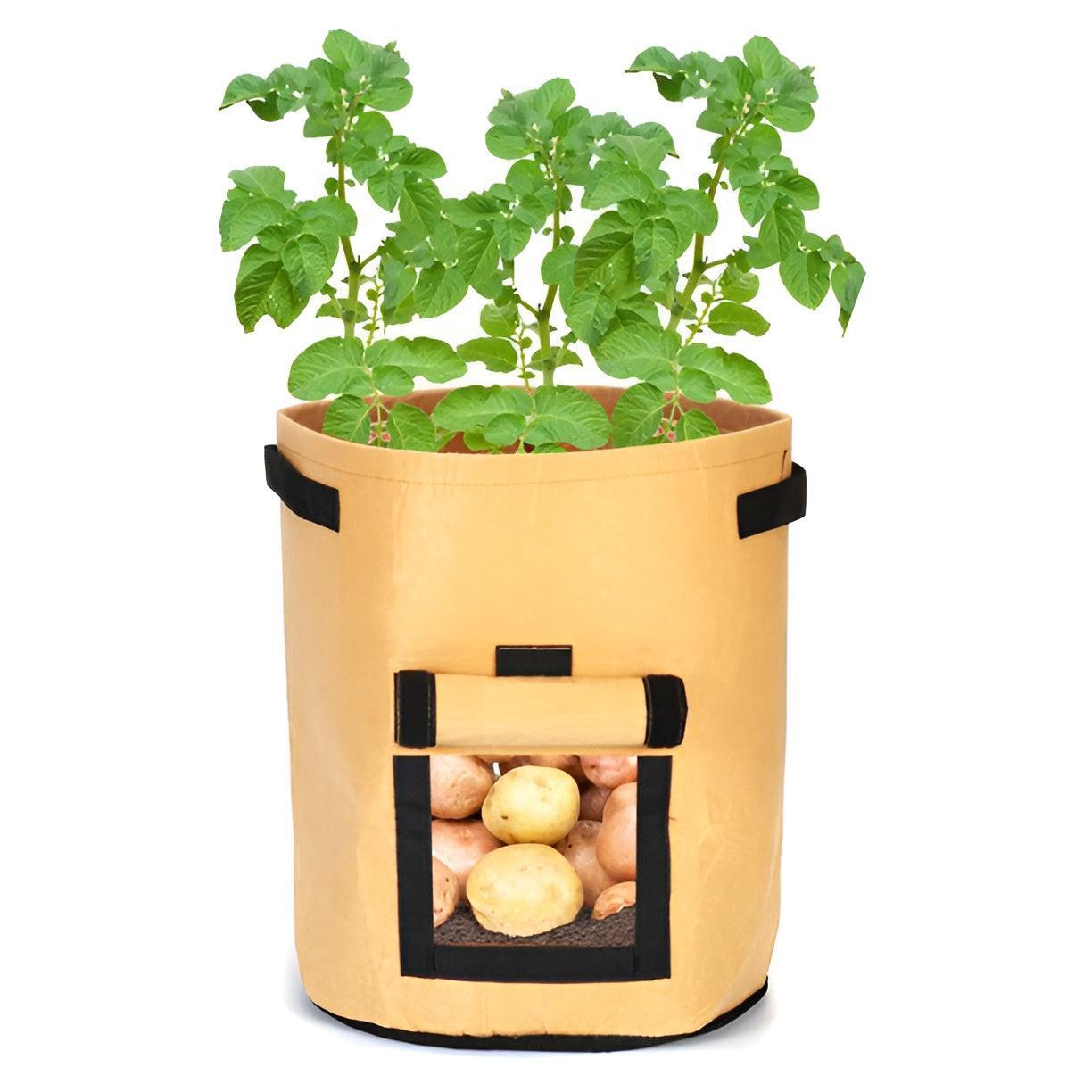 10 Gallon Potato Grow Planter Container Bag Pouch Root Plant Growing Pot Side Window - Green