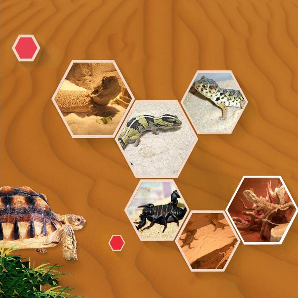 Pet Sand for Tortoises Snakes Lizards Spiders Multi-colour Reptile Habitat Decor - Grey Blue