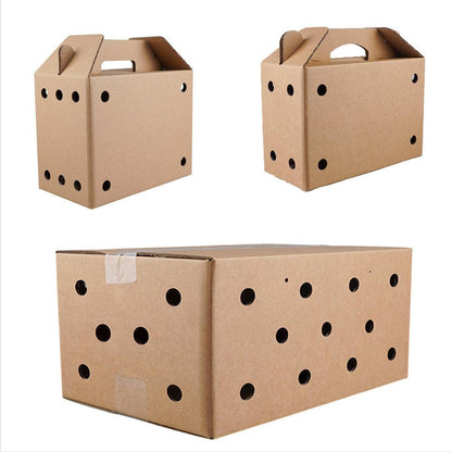 10PCS Disposable Cardboard Pet Carrier - 3 Sizes for Small Animals - 38*28*24CM