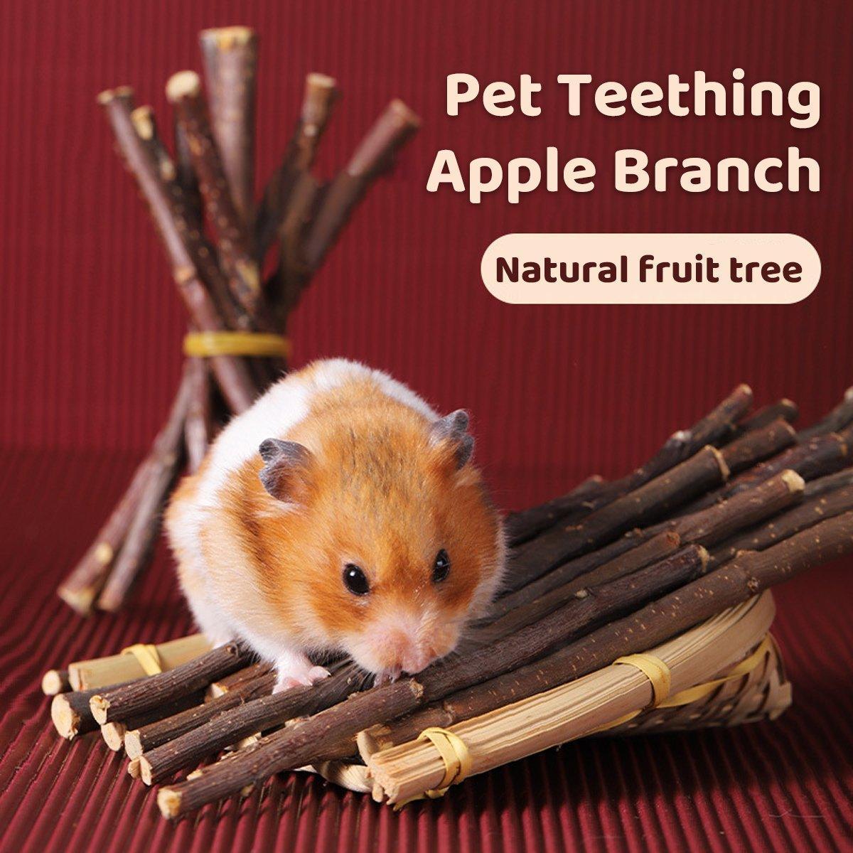 Natural Rabbit Molar Snacks Hamster Branches Sweet Bamboo Grinding Teeth Wood - White