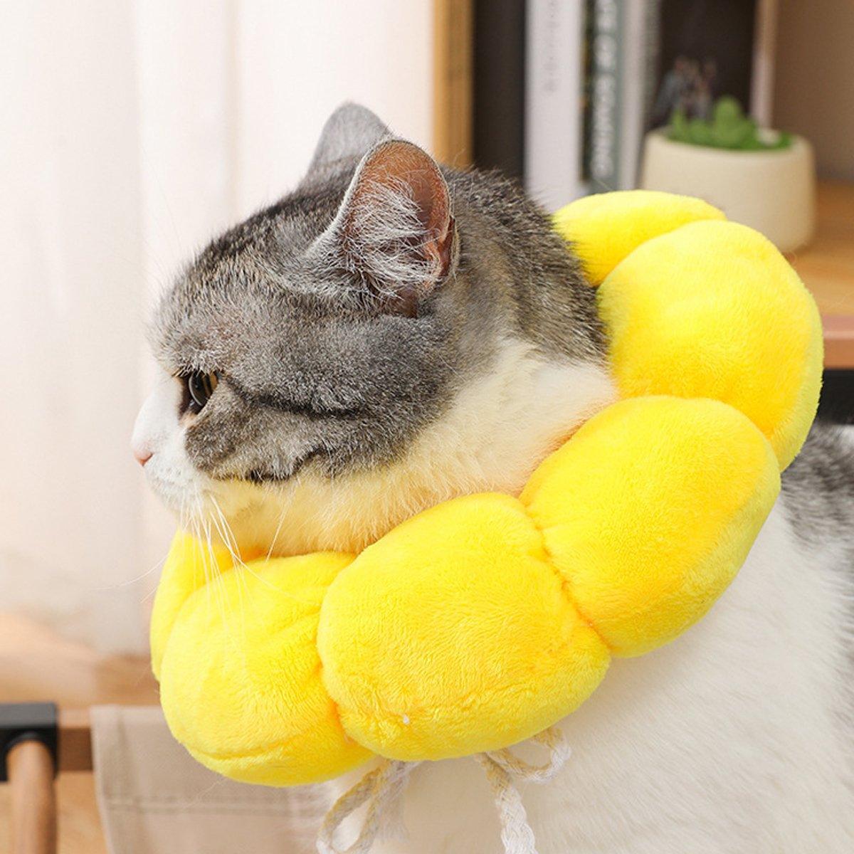 Sunflower Elizabeth Collar for Cats and Dogs Anti Licking Sterilization Headgear - M