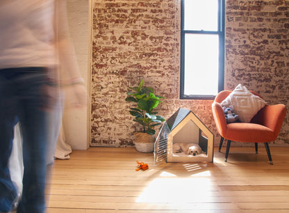 Modern Pet House Dog Crate (White)