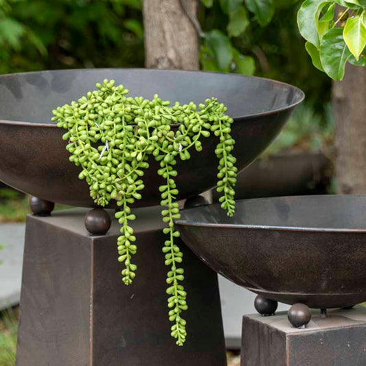 Faux Long String Of Pearls 74cm