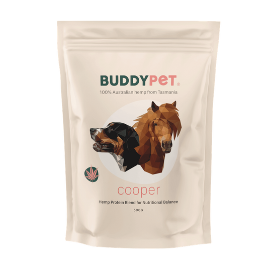 Cooper - Hemp Protein Recovery Blend for Pets | 500g