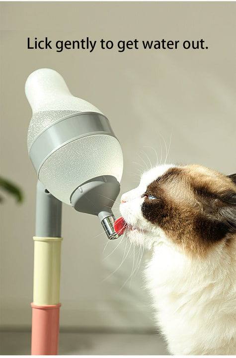 Grey Base Adjustable Height Pet Water Dispenser with Food Bowl Base - Non-Drip Bottle Feeder Station for Dogs & Cats