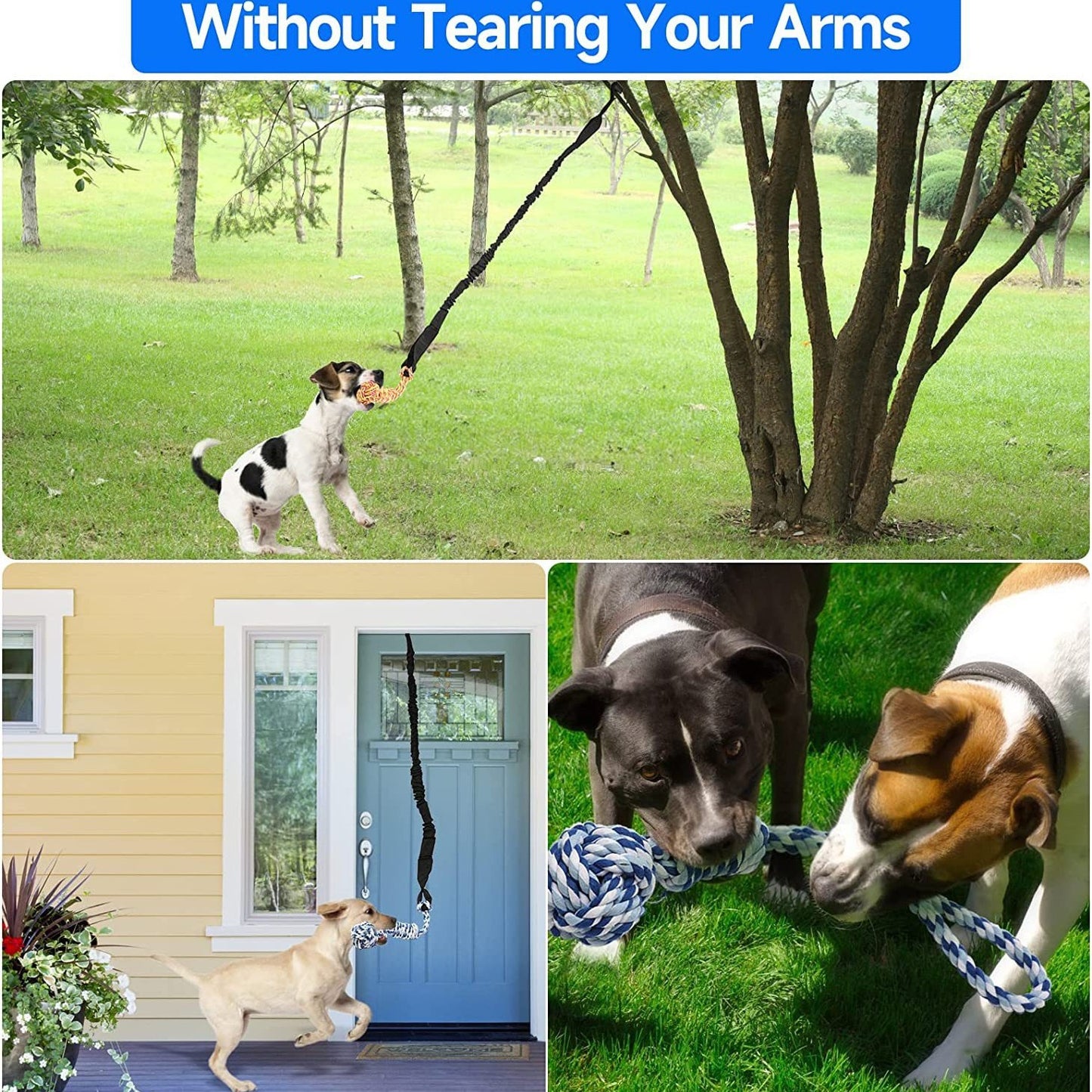 Black And Colored Cotton Balls Interactive Bungee Dog Tug Toy - Hanging Rope Ball for Solo Play & Exercise