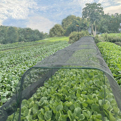 Premium Thickened Black Insect & Bird Protection Net - 2x5m for Gardens & Greenhouses