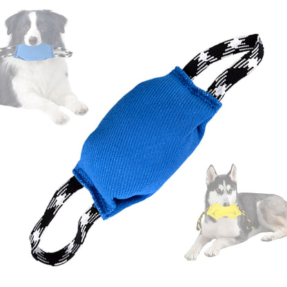 Blue Durable Dog Tug Toy with 2 Handles - Interactive Bite Pillow for Training & Tug of War