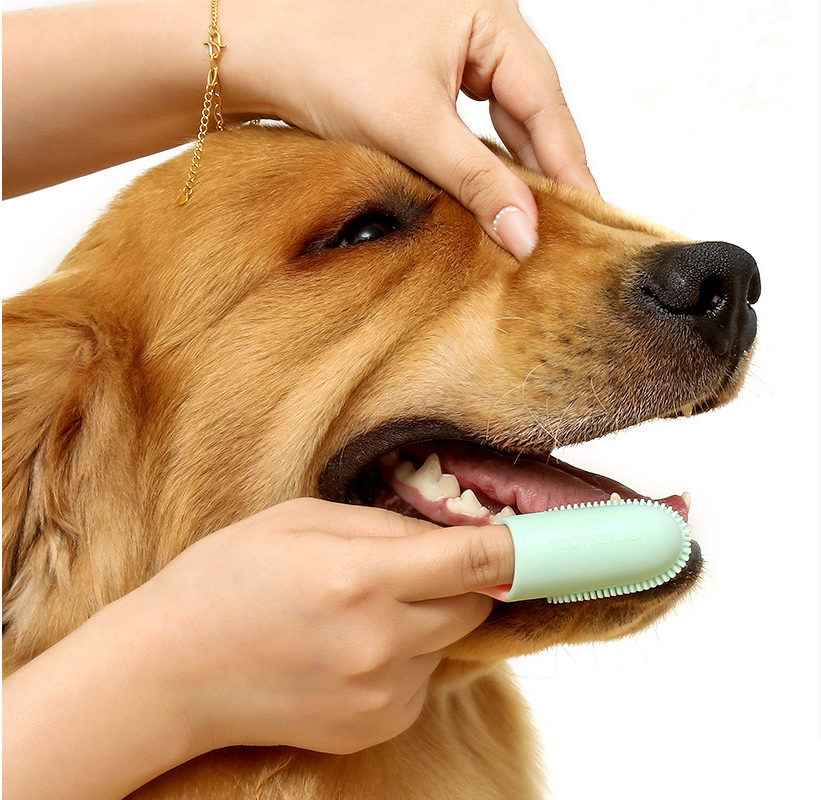 Yellow 5-Pack Pet Finger Toothbrush Set for Dogs & Cats - Soft Silicone Dental Care Brush for Healthy Gums & Teeth