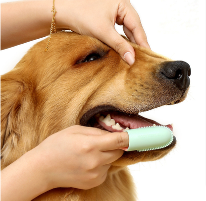 Yellow 5-Pack Pet Finger Toothbrush Set for Dogs & Cats - Soft Silicone Dental Care Brush for Healthy Gums & Teeth