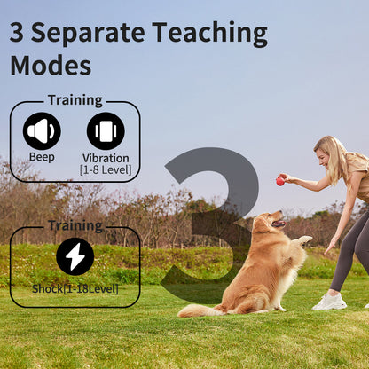 Rechargeable Dog Training Collar with Remote - 2600ft Range, 3 Modes(black)