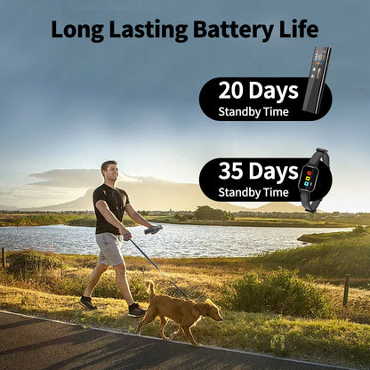 Rechargeable Dog Training Collar with Remote - 2600ft Range, 3 Modes(black)