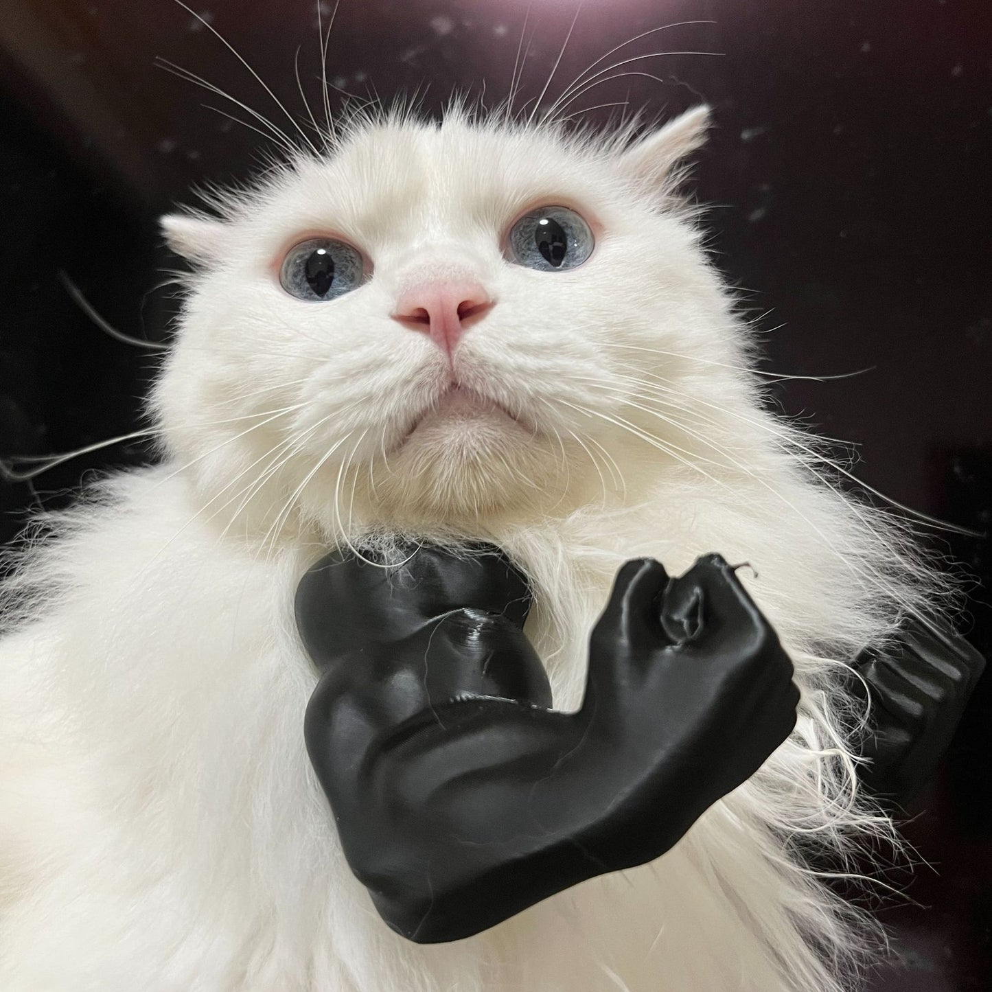 2pc Hilarious Muscle Arm Pet Costume Prop - Funny Novelty Arms for Cats & Small Dogs(green)