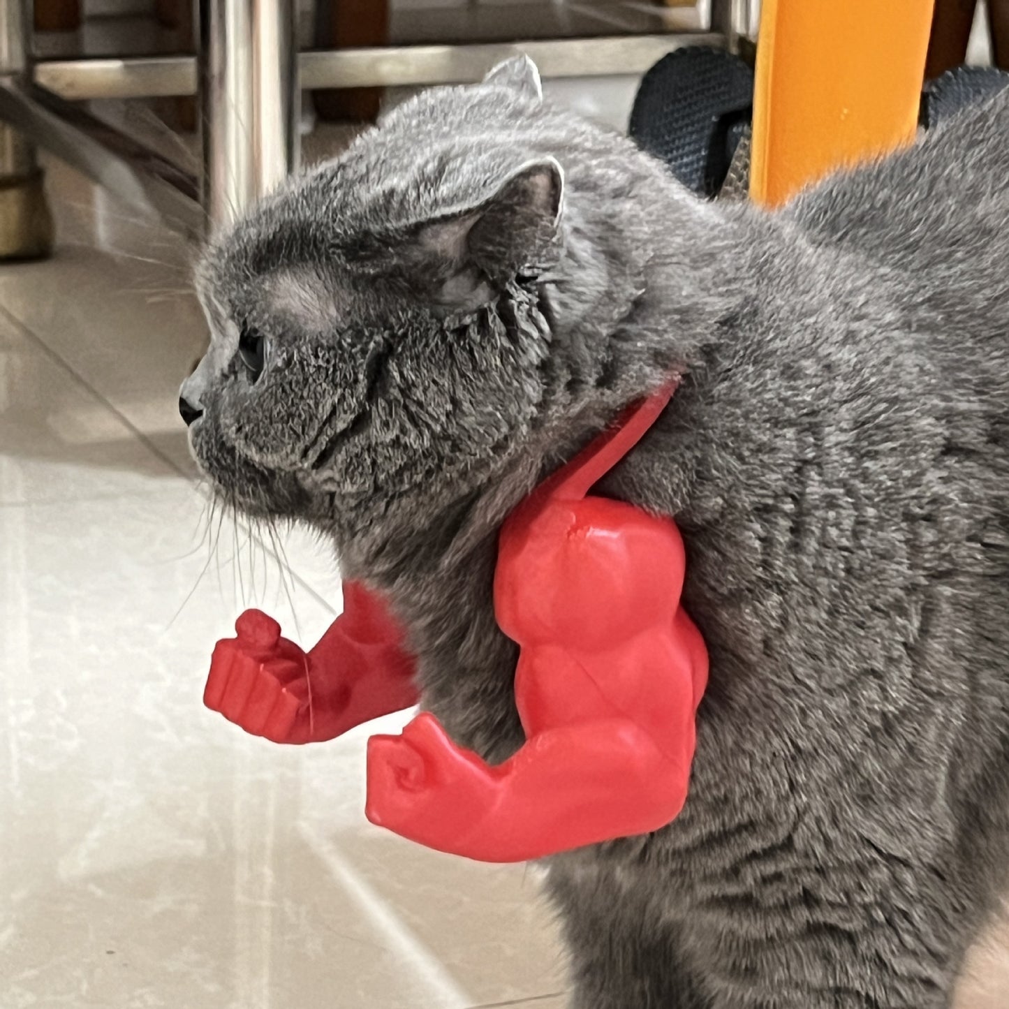 2pc Hilarious Muscle Arm Pet Costume Prop - Funny Novelty Arms for Cats & Small Dogs(green)