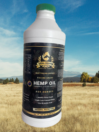 Vital Equine | Hemp & Turmeric Oil For Horses - 1 litre